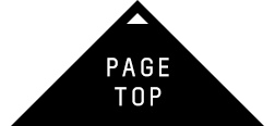 PAGE TOP